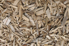 biomass boilers Bishton